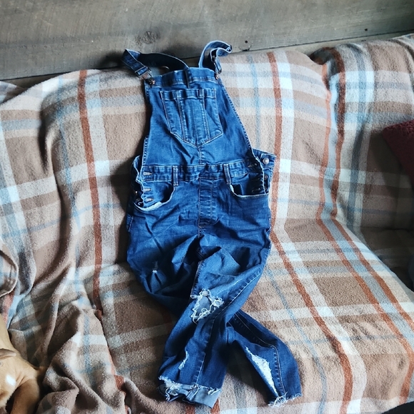 Forever 21 Pants - Forever 21 Blue Denim Jumpsuit